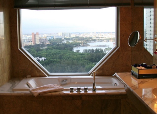 bathtubwithaview