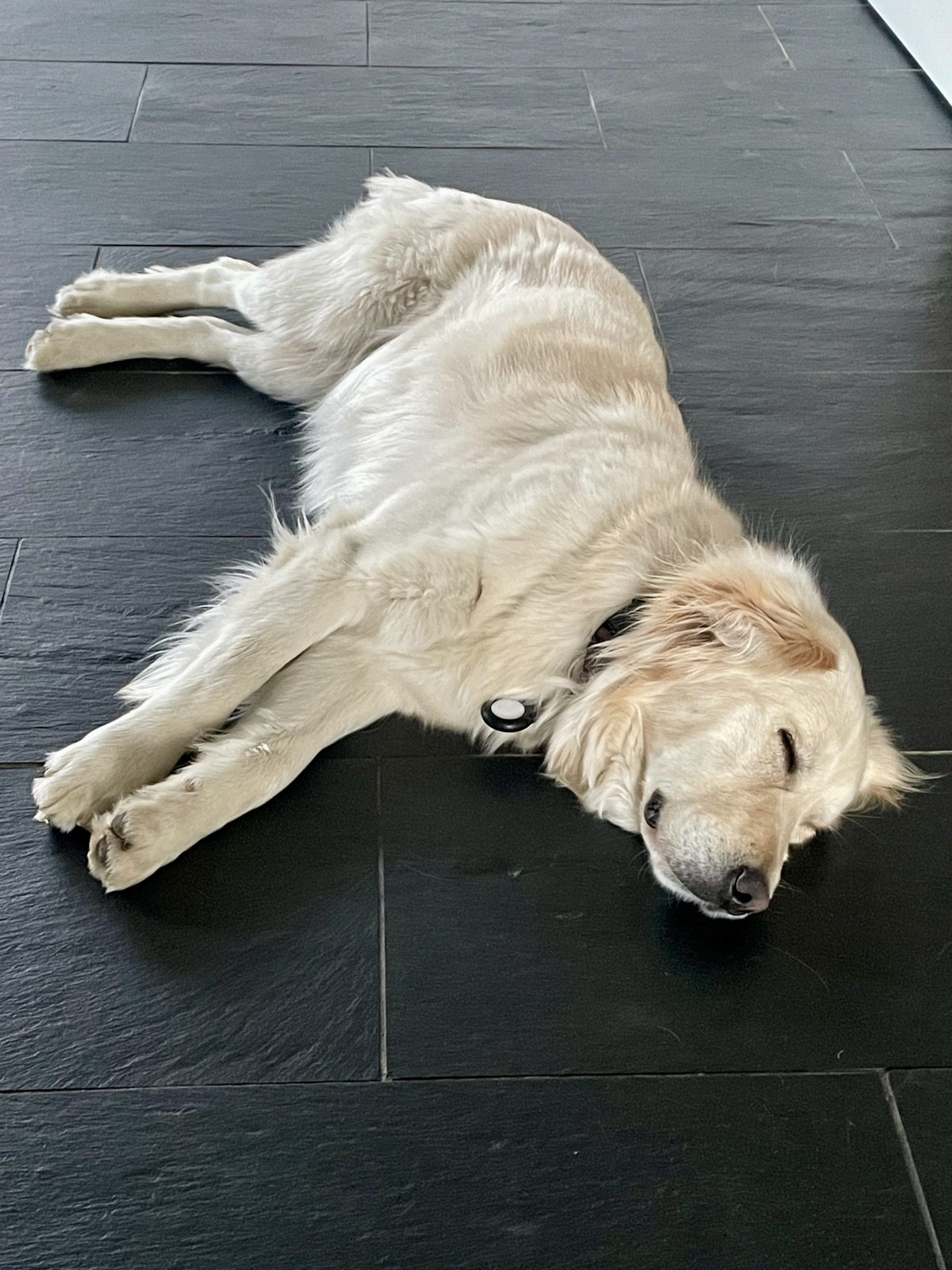 Charlie ist angekommen